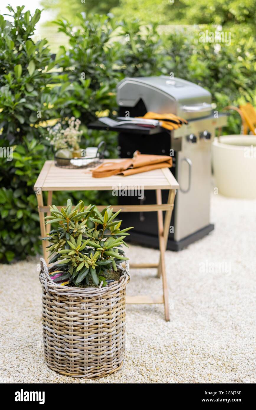 Backyard with barbeque and dining table Stock Photo Alamy