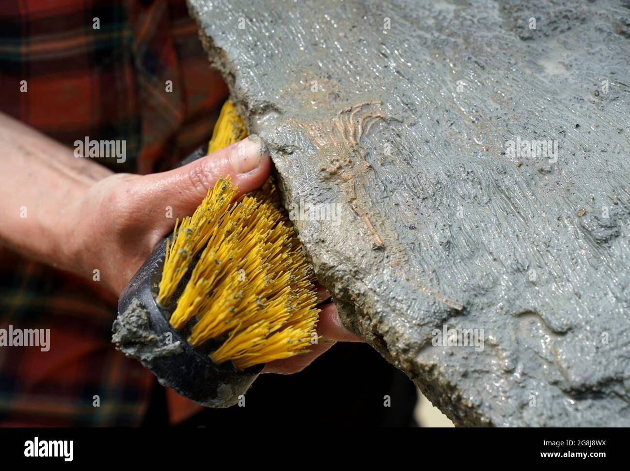 A paleontologist from the Natural History Museum cleans a slab