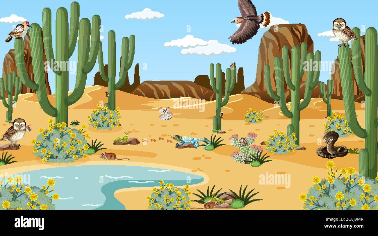 Desert forest landscape at daytime scene with desert animals and plants  illustration Stock Vector Image & Art - Alamy