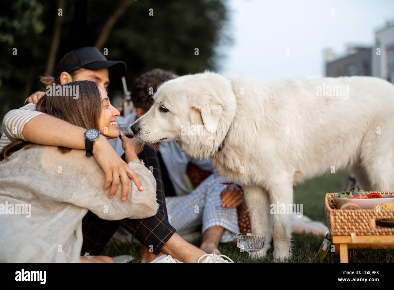 Friends with a dog at picnic Stock Photo