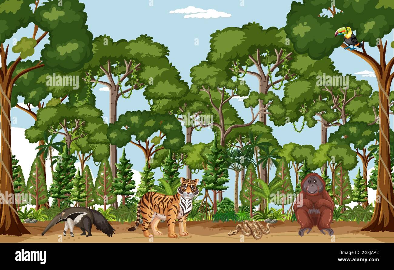 Forest scene with different wild animals illustration Stock Vector ...
