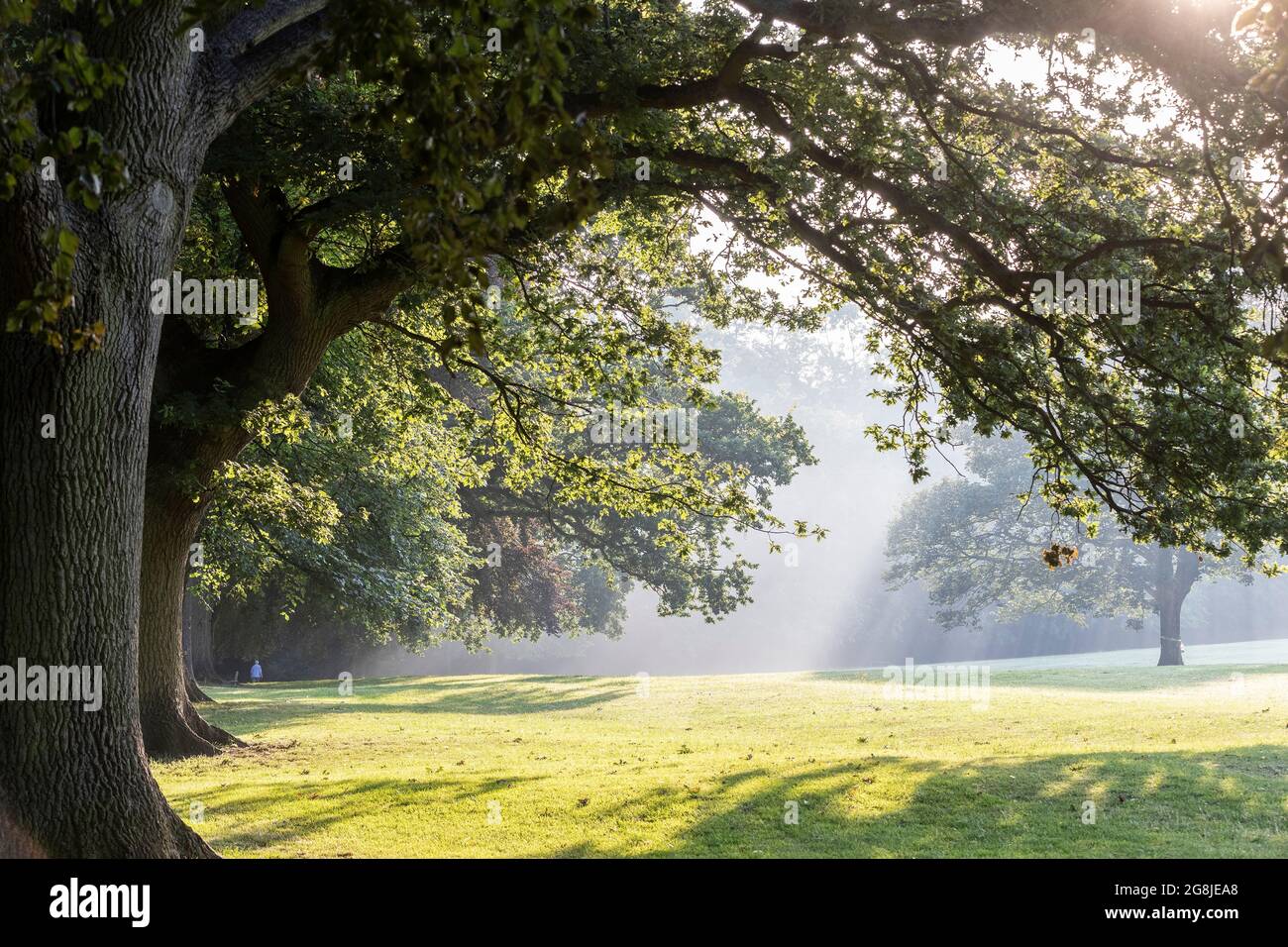 Northampton, UK. Weather, 21st July 202. Sunshine a light mist early morning in Abington Park, it’s going to be very humid after last nights thunder and rain. Credit: Keith J Smith./Alamy Live News Stock Photo