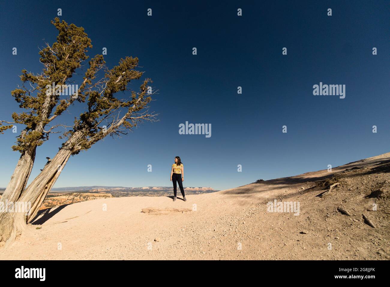 Person walking in Death Valley National Park in California, USA Stock ...