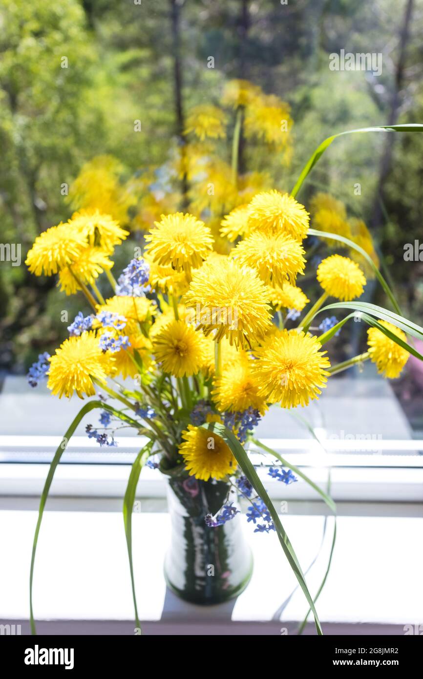 Beautiful bouquet of yellow dandelions in clay vase standing on ...