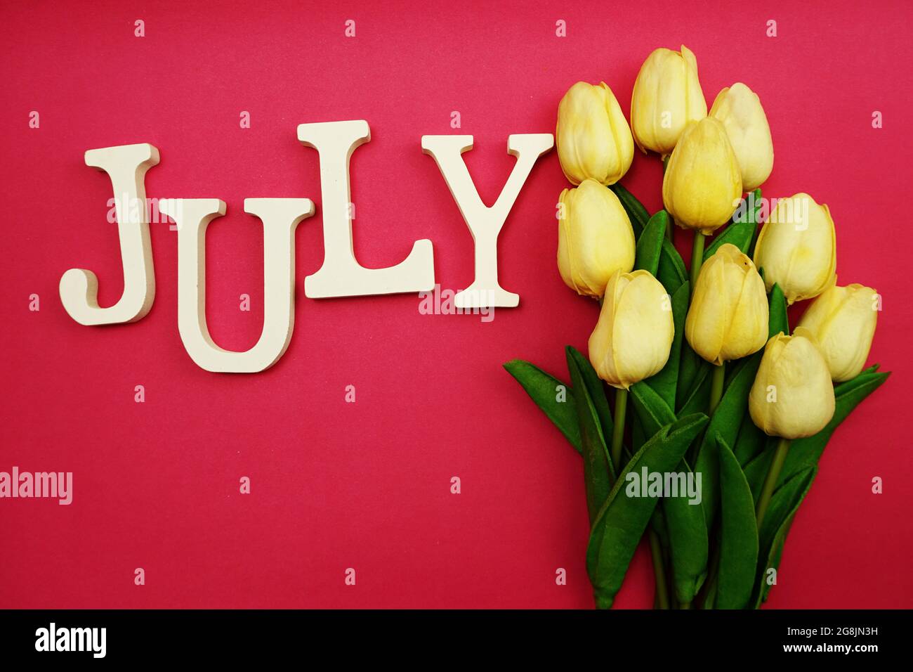 June alphabet letter and tulip flower with space copy on pink ...