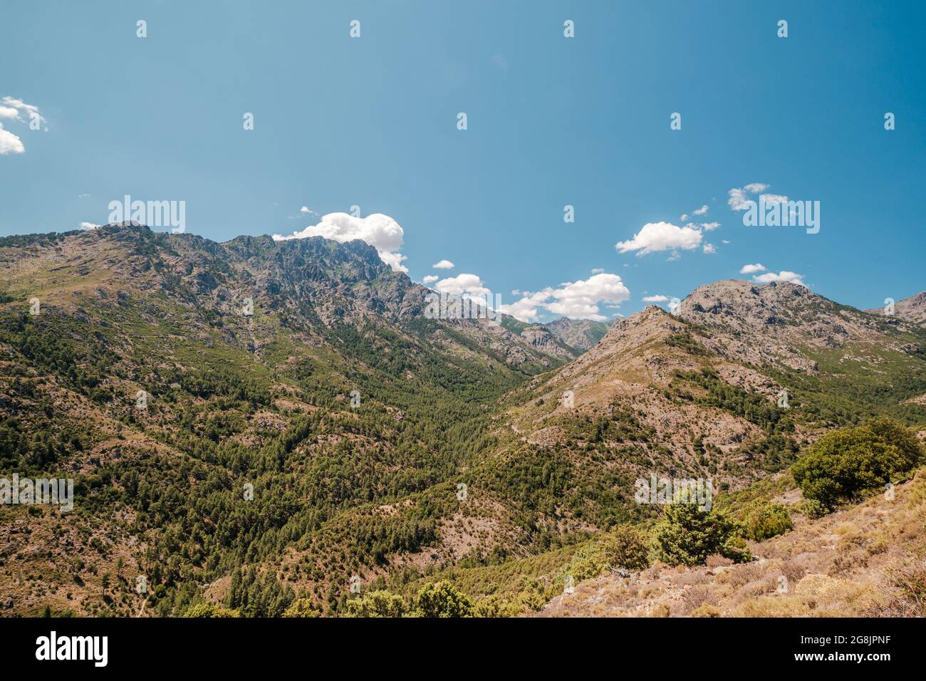 view-of-the-tartagine-valley-and-pine-covered-mountains-in-corsica