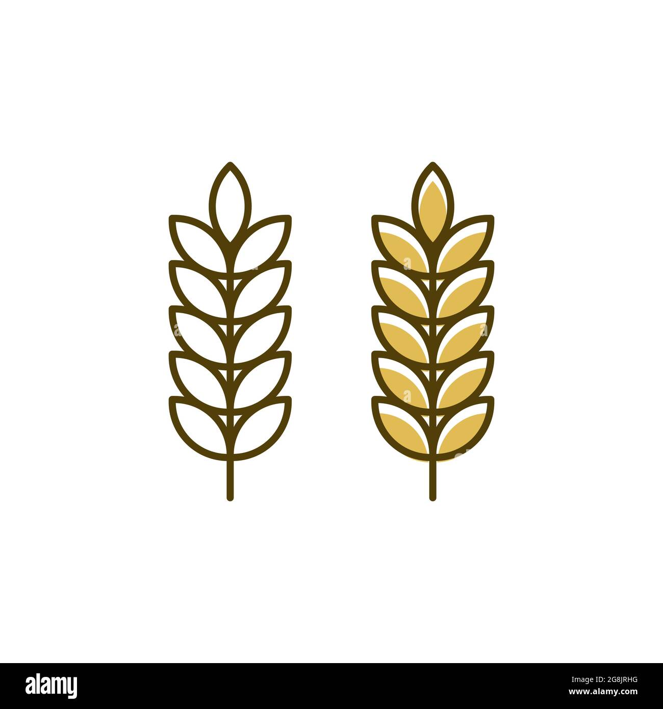 Agriculture wheat rice vector icon design template Stock Vector Image ...