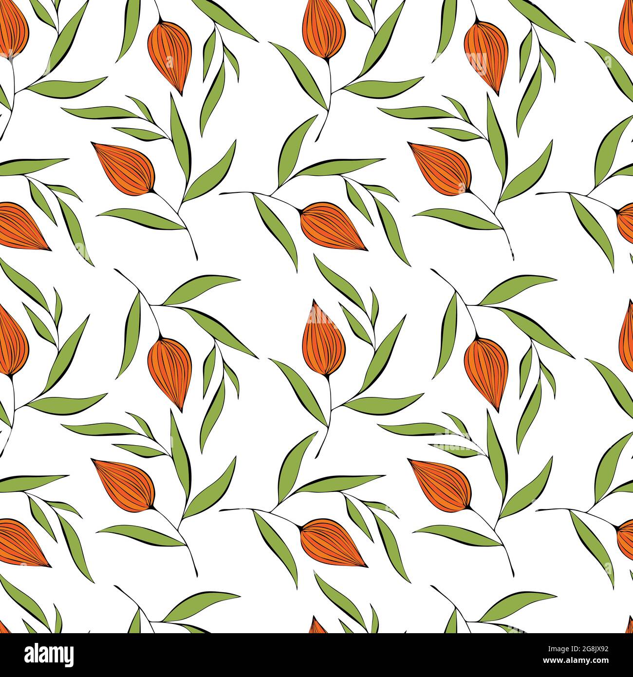 Physalis doodling pattern on a white background. Vector illustration Stock Vector
