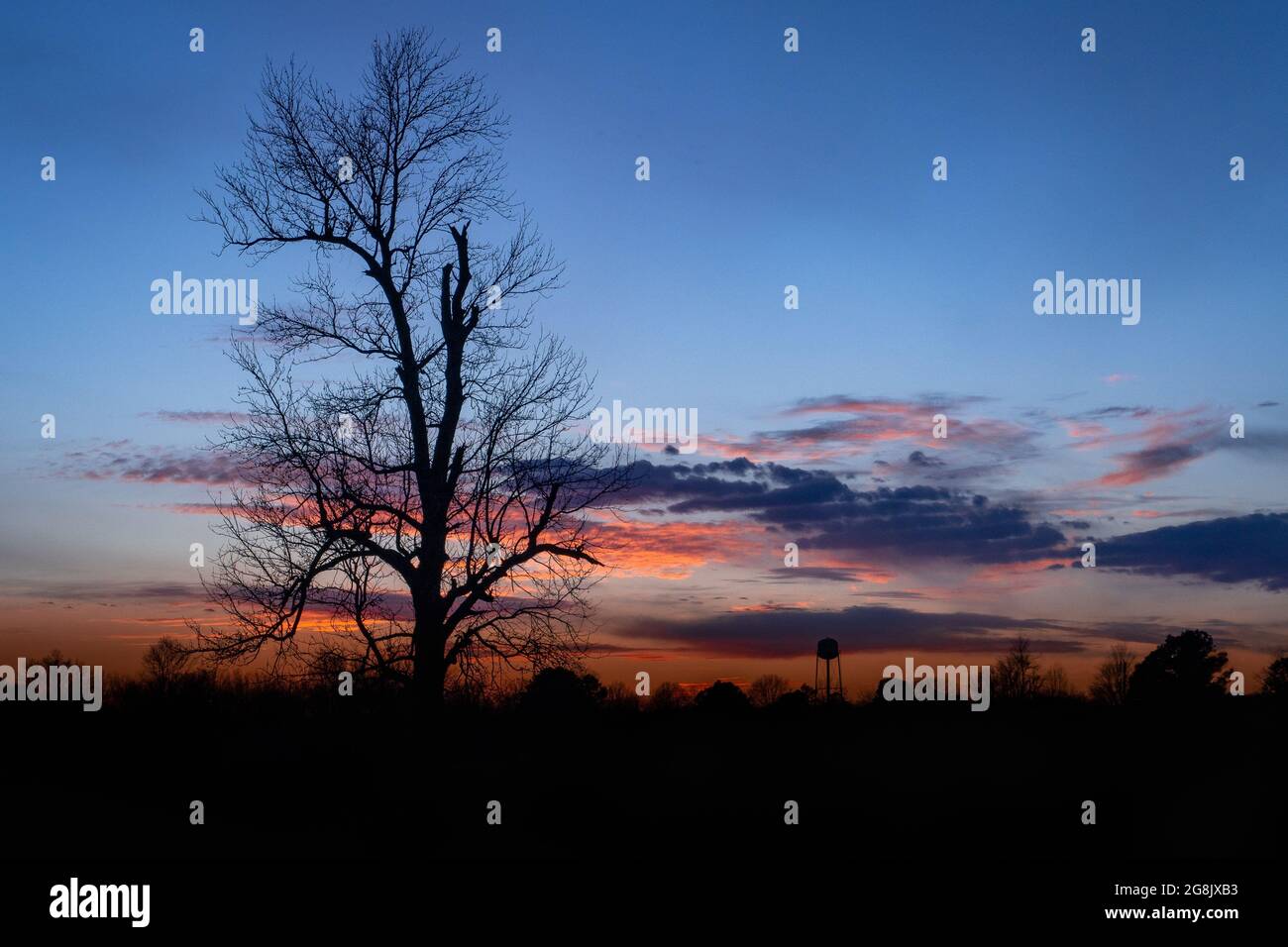 Tree Silhouette against a sunset sky Stock Photo - Alamy