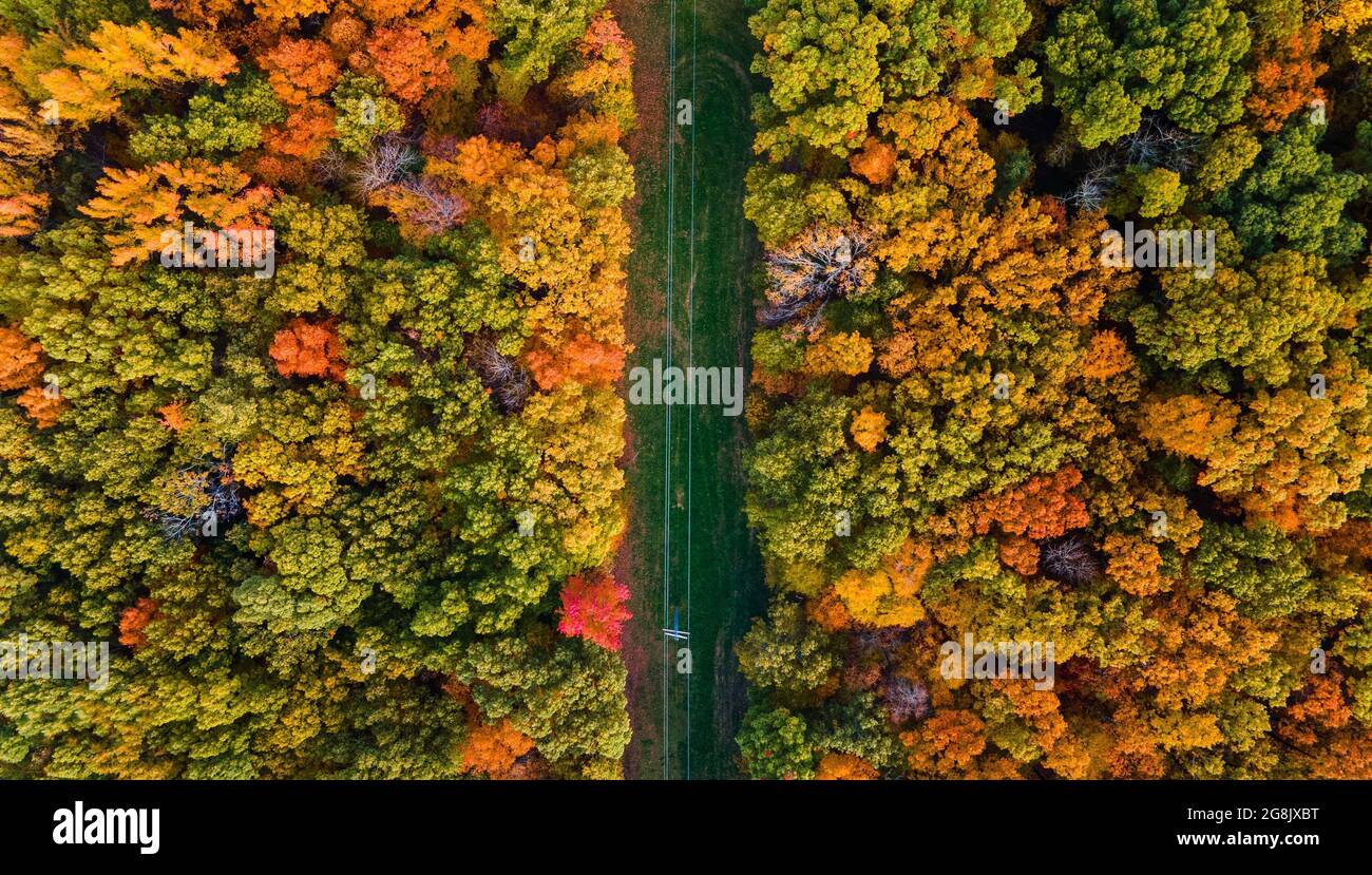 Colorful trees from aerial view Stock Photo - Alamy