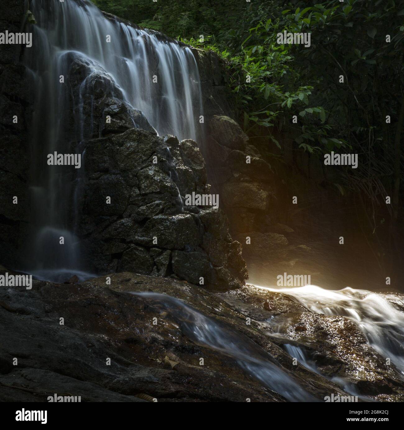 Tropical rainforest waterfall Stock Photo Alamy