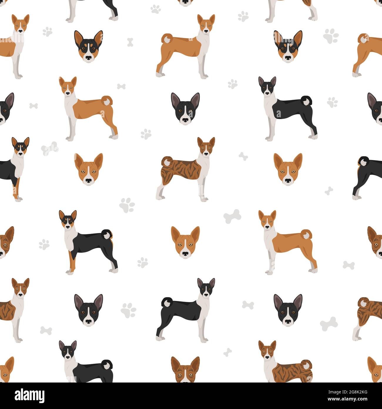 Basenji all colours seamless pattern. Different coat colors and poses set.  Vector illustration Stock Vector