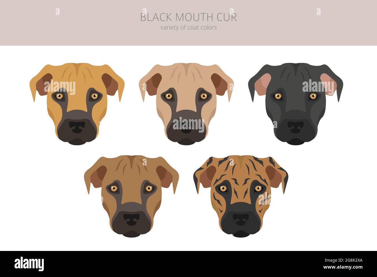 are black mouth curs good dogs