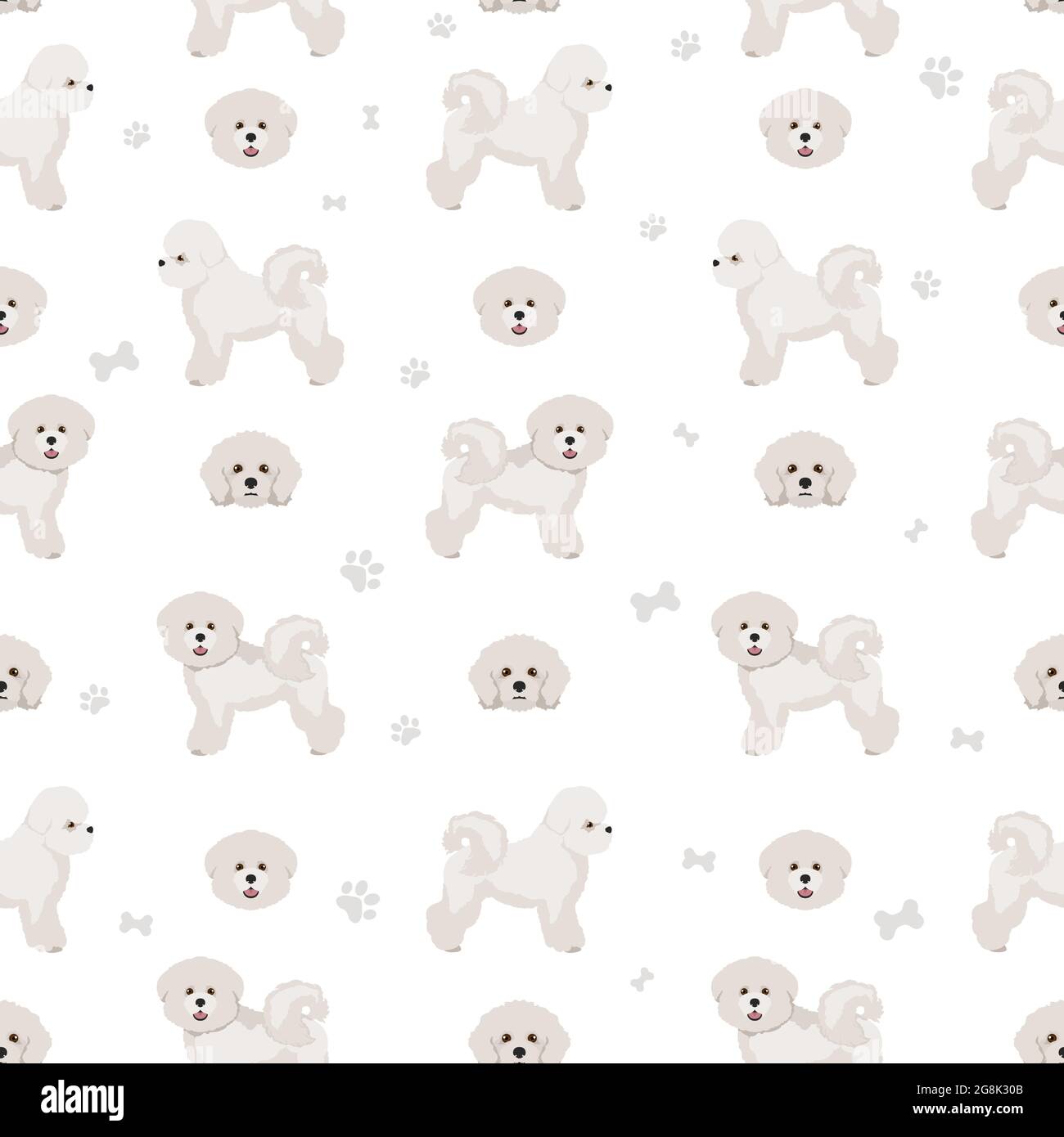 Bichon frise seamless pattern. Different coat colors and poses set.  Vector illustration Stock Vector