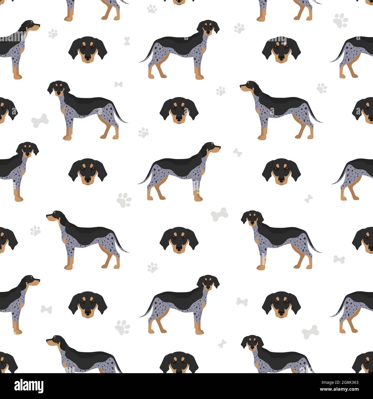 Bluetick coonhound store colors