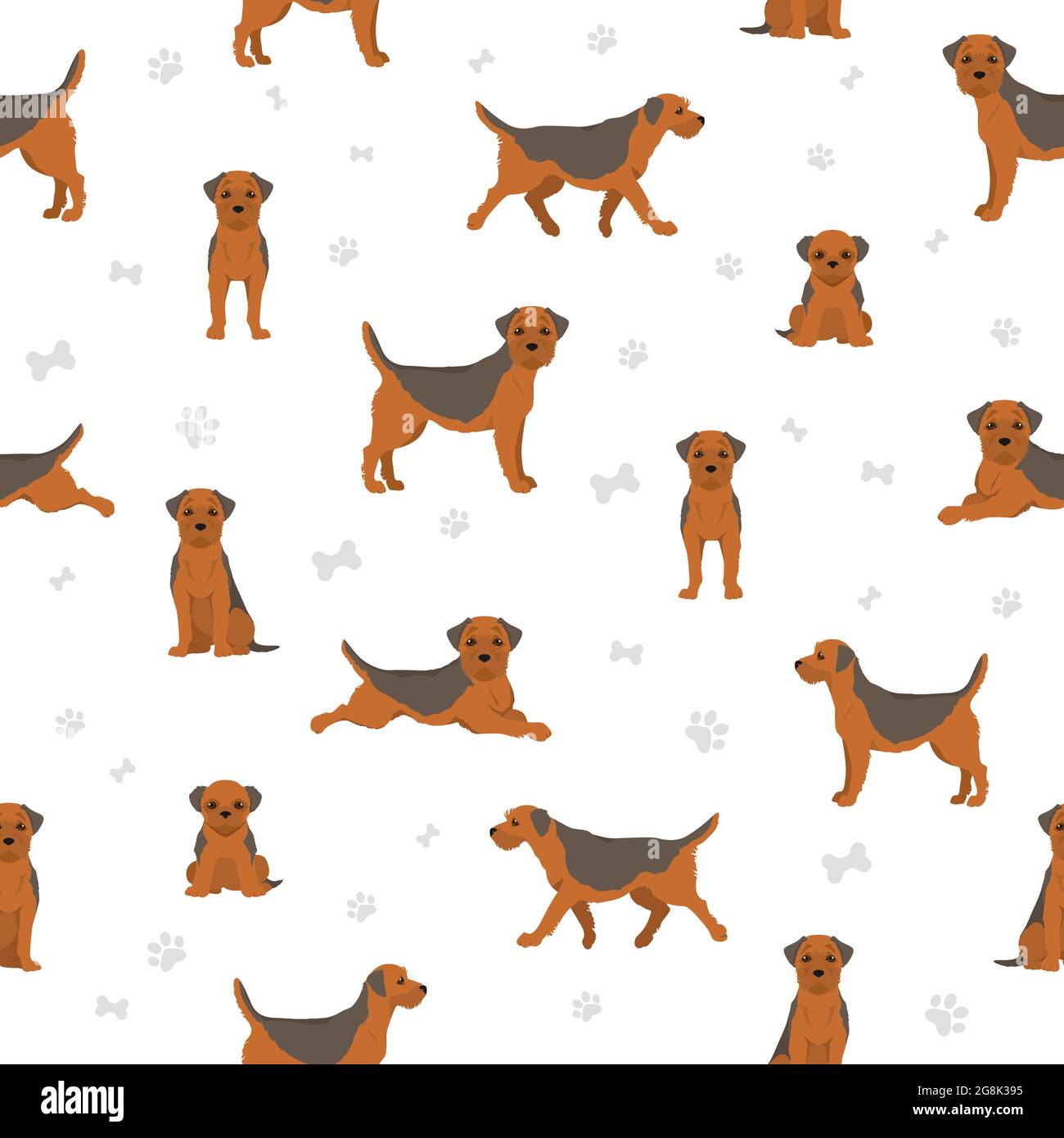 Border terrier seamless pattern. Different coat colors and poses set. Vector illustration Stock Vector