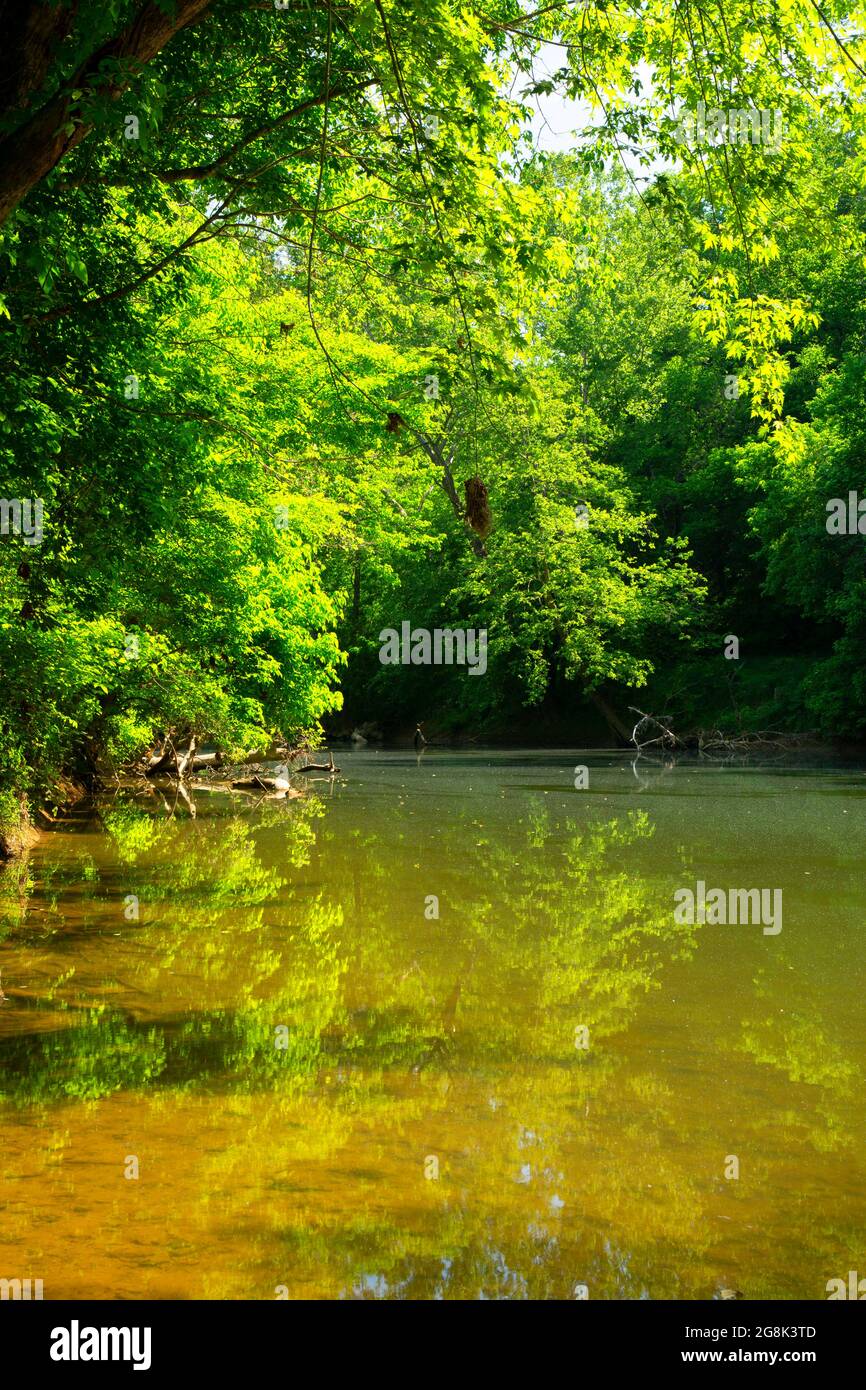 Blue River, Harrison-Crawford State Forest, Indiana Stock Photo