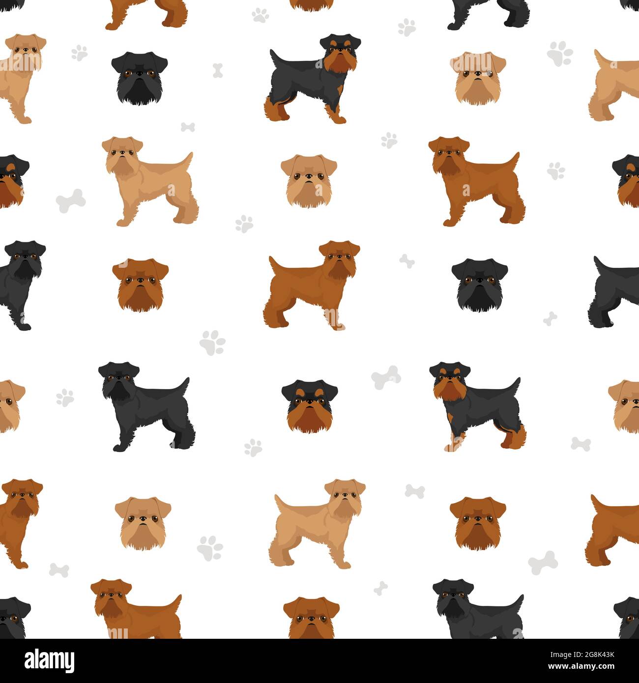 Brussels griffon seamless pattern. Different coat colors and poses set.  Vector illustration Stock Vector