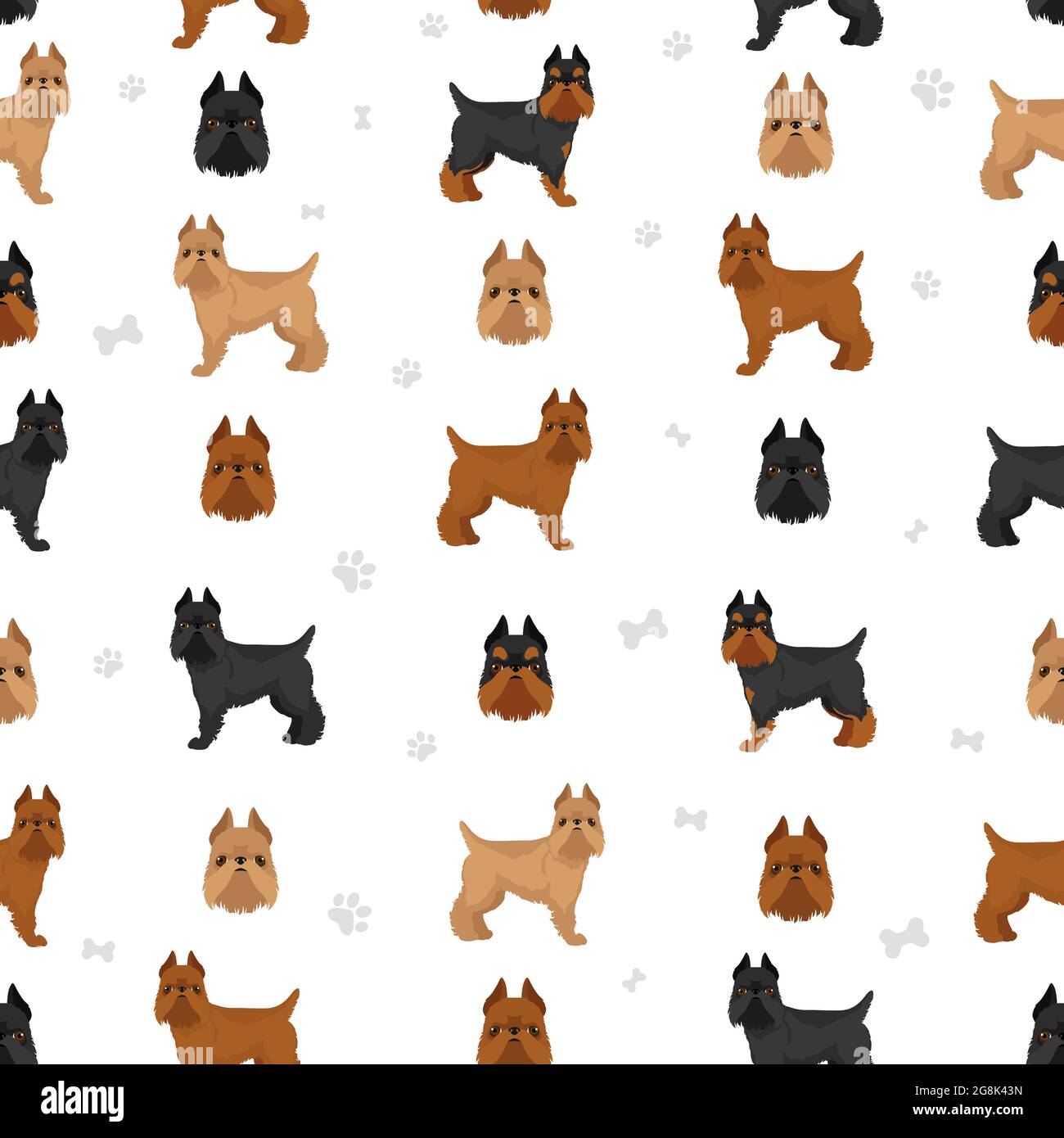 Brussels griffon seamless pattern. Different coat colors and poses set.  Vector illustration Stock Vector