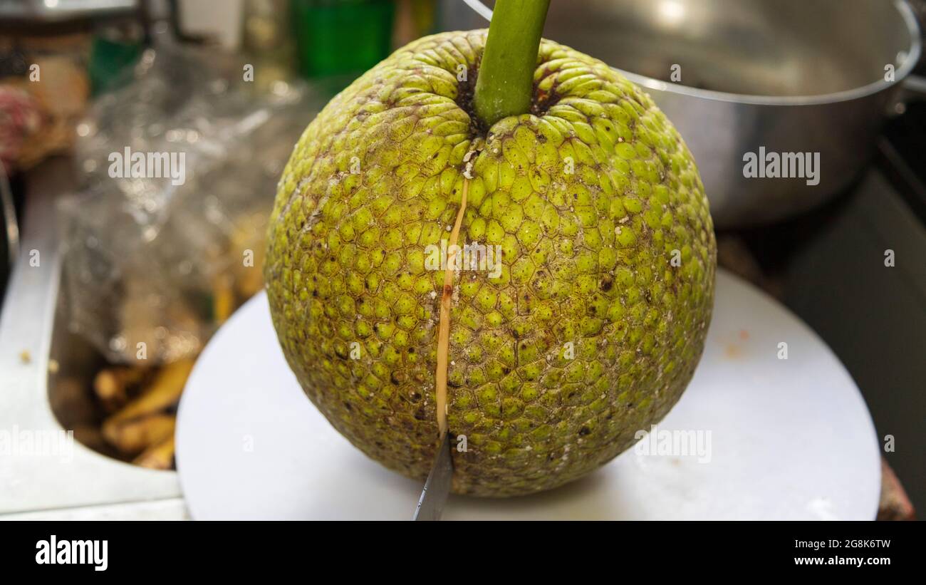 A green breadfruit with a slice down the middle Stock Photo