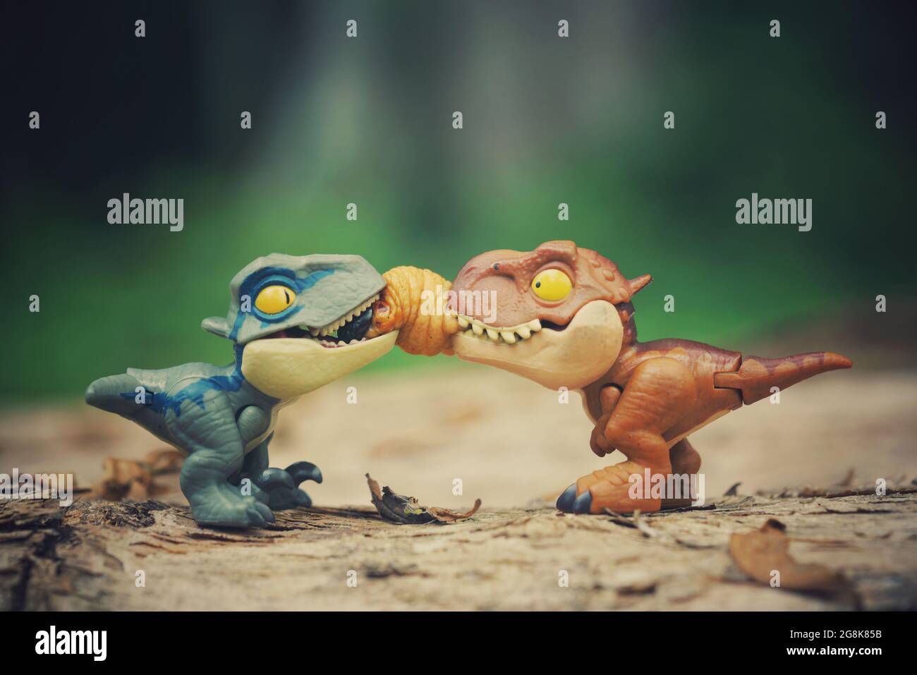 Closeup shot of mini blue and brown dinosaur toys fighting for a food Stock Photo