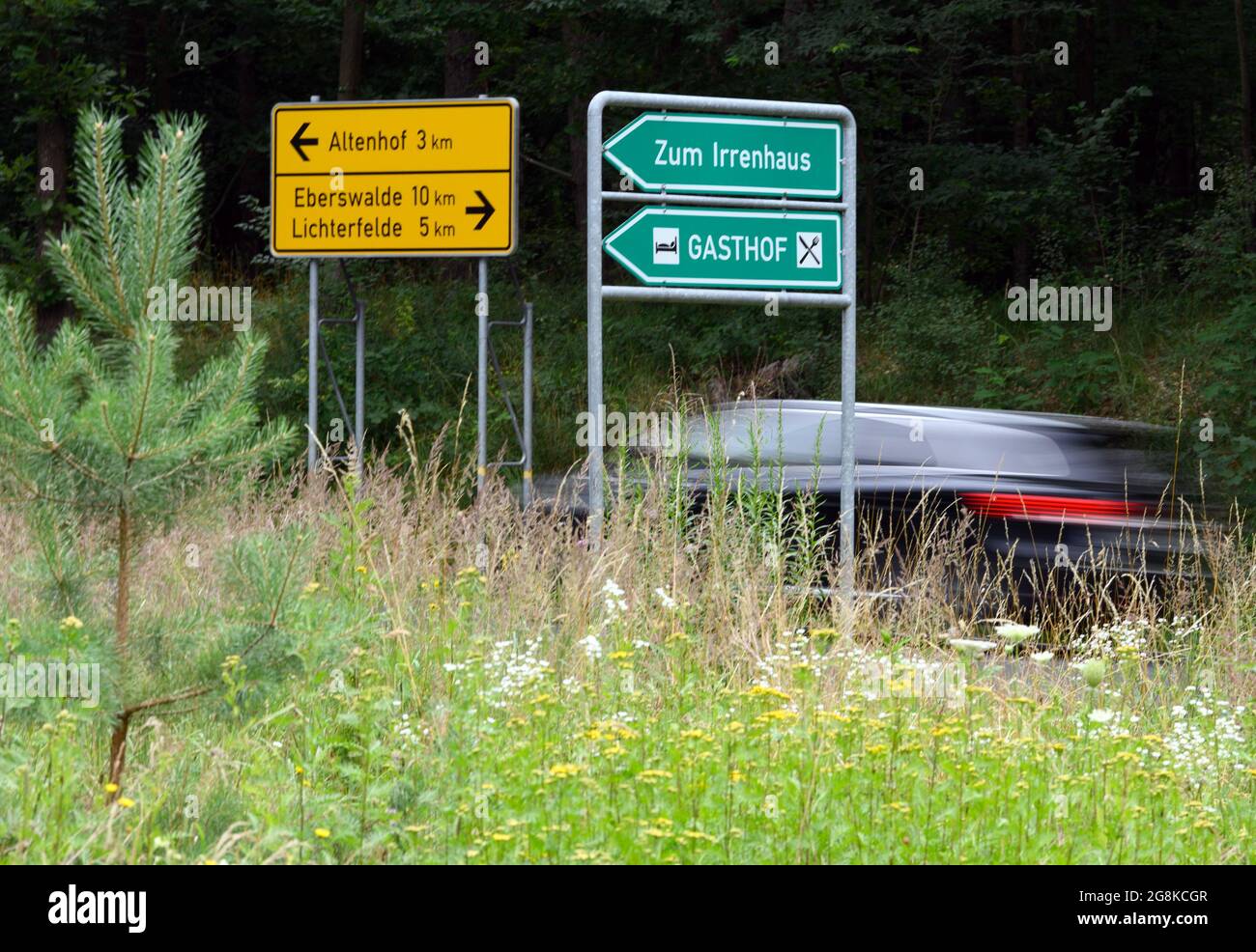19 July 2021, Brandenburg, SchorfheideOt Werbellin: Above the green sign  with the inscription Gasthof there is a signpost to the Irrenhaus  (madhouse) at the junction of a road. The sign refers to