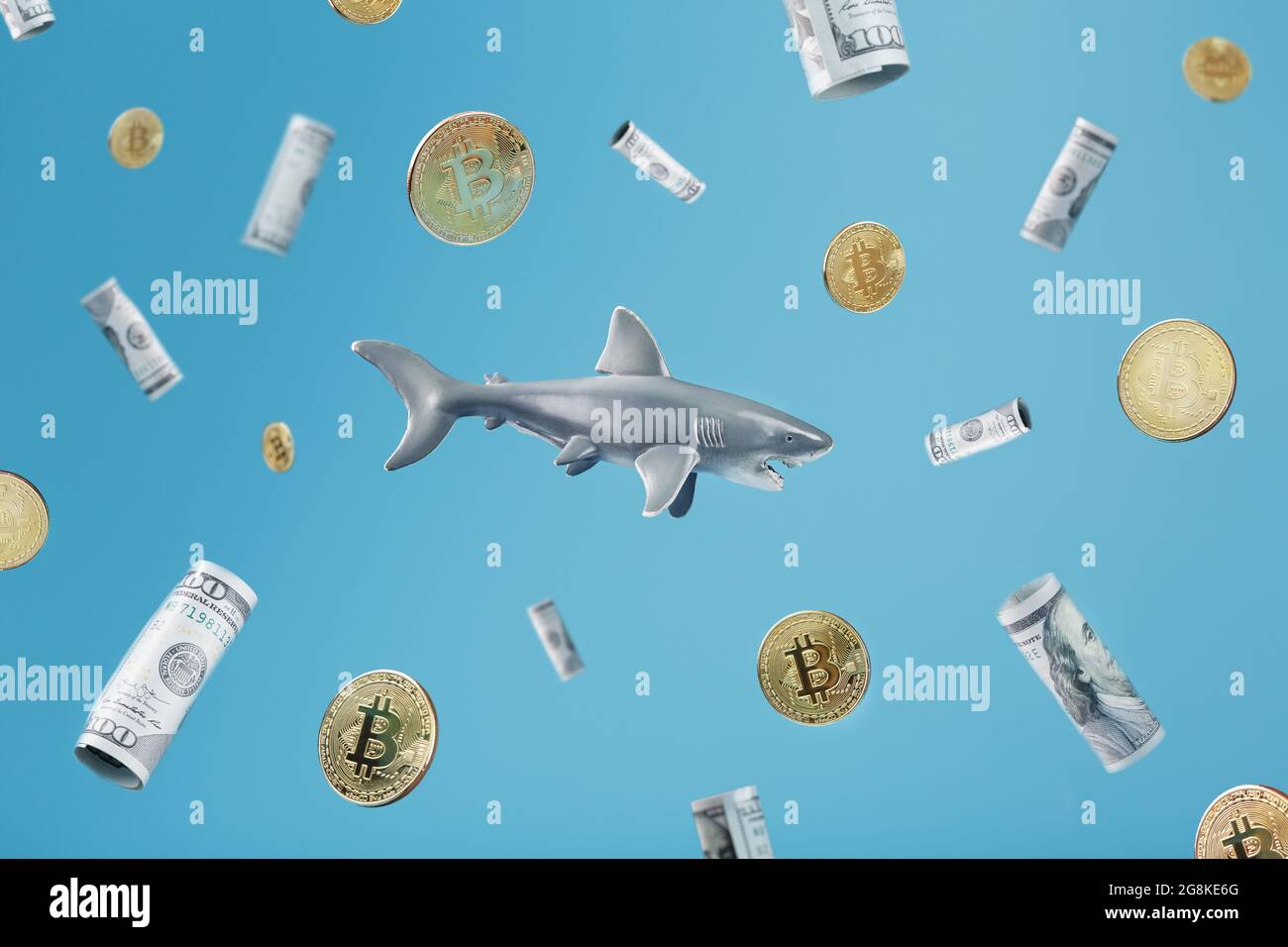 Finance sharks hires stock photography and images Alamy