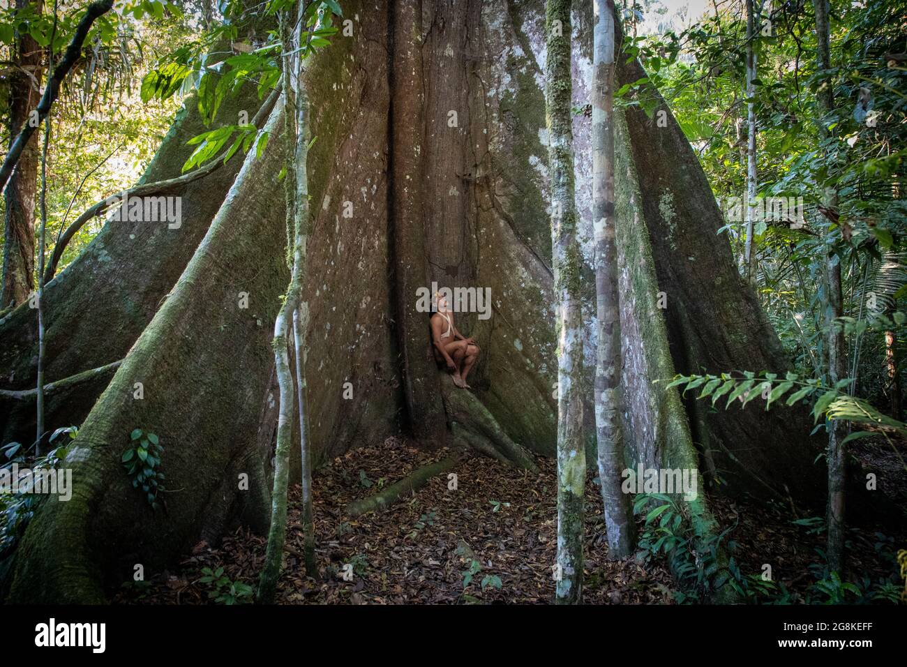 A man sat on the roots of the kapok tree and gazed upwards. AMAZONIAN ECUADOR: In one image, a woman wore red makeup across her eyes and a feathered h Stock Photo
