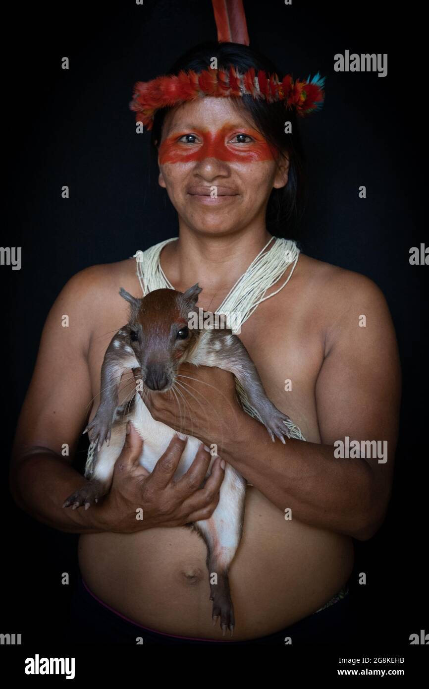 A woman wore a brightly coloured headdress and her pet paca. AMAZONIAN ECUADOR: In one image, a woman wore red makeup across her eyes and a feathered Stock Photo