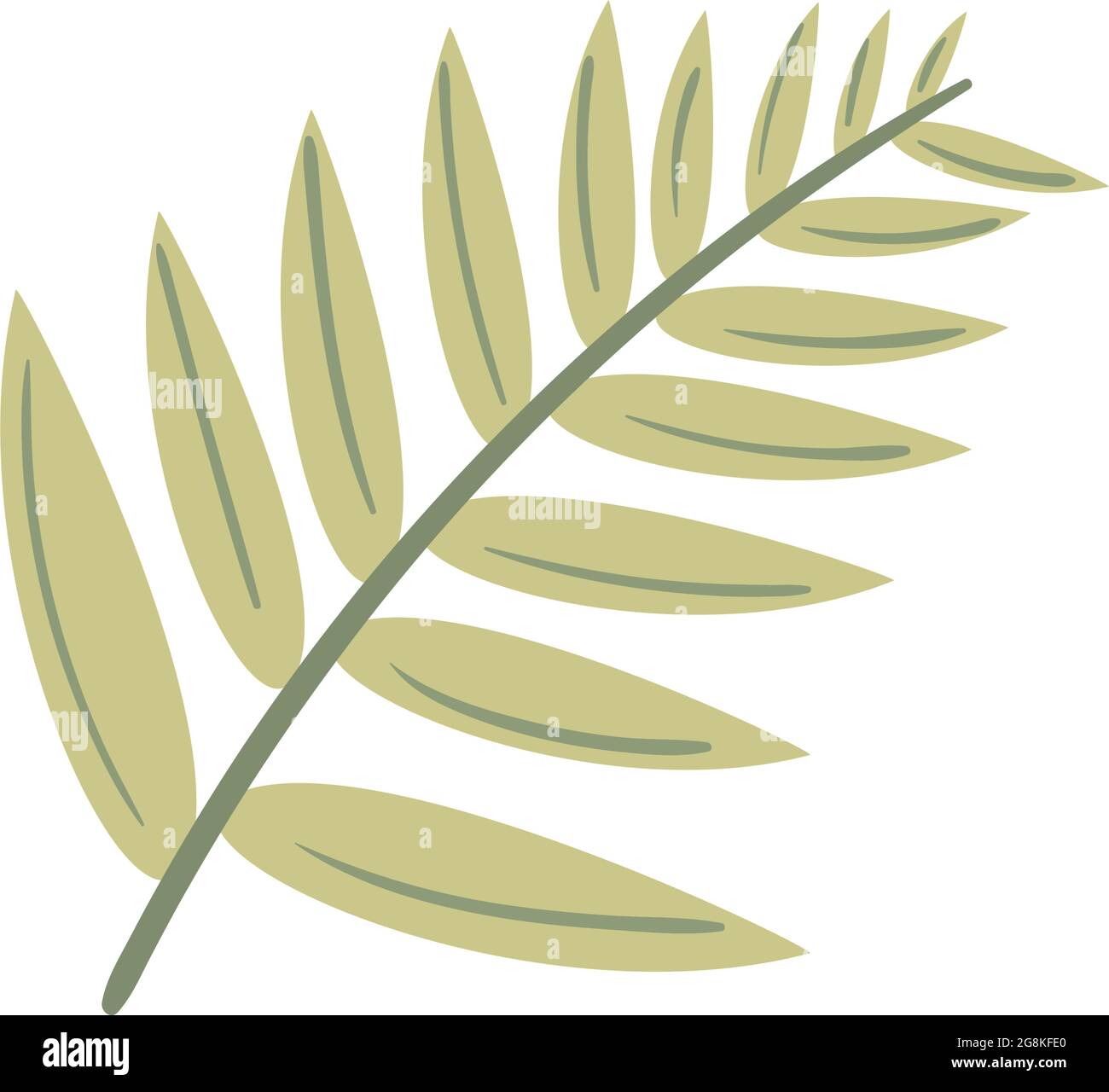 tropical leaf palm nature icon Stock Vector Image & Art - Alamy