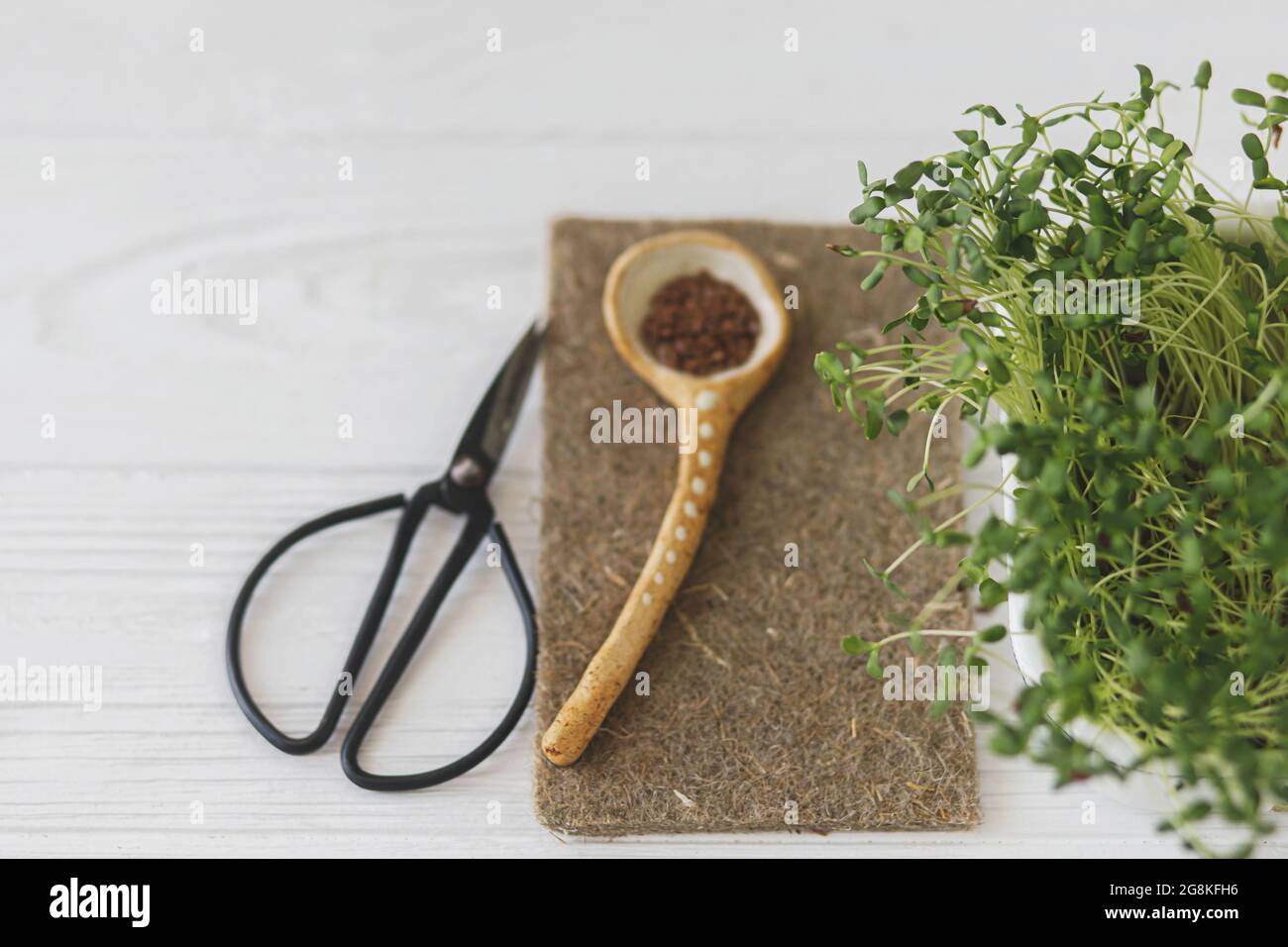 Fresh flax sprouts, linen mat, spoon with seeds and scissors on white