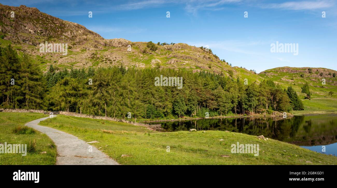 The footpath down to Blea Tarn, Lake district national park, Cumbria, England, UK Stock Photo
