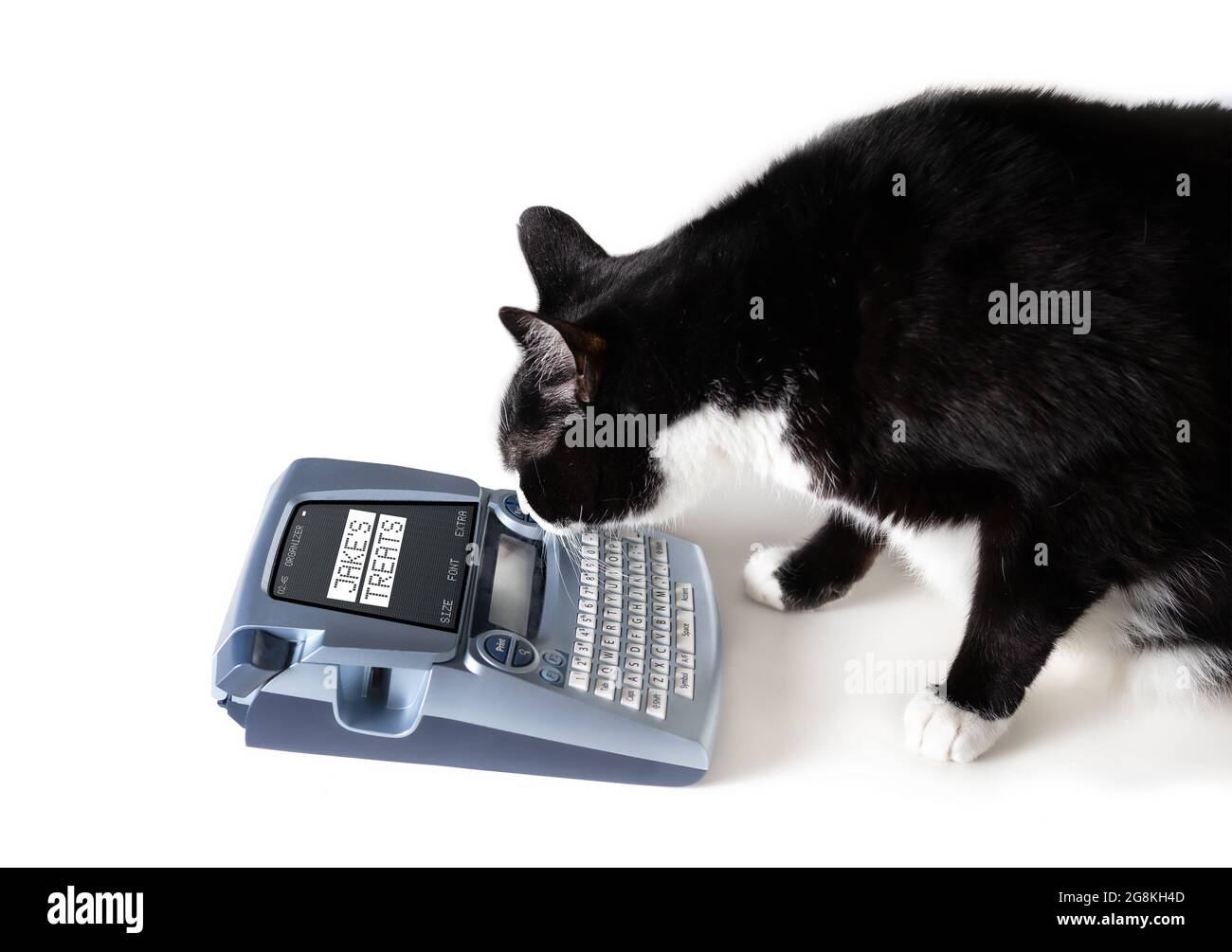 Cat using label maker or labeling machine. Side view of cat making labels to organize treats or pet food. Funny pet themed concept for smart pets imit Stock Photo