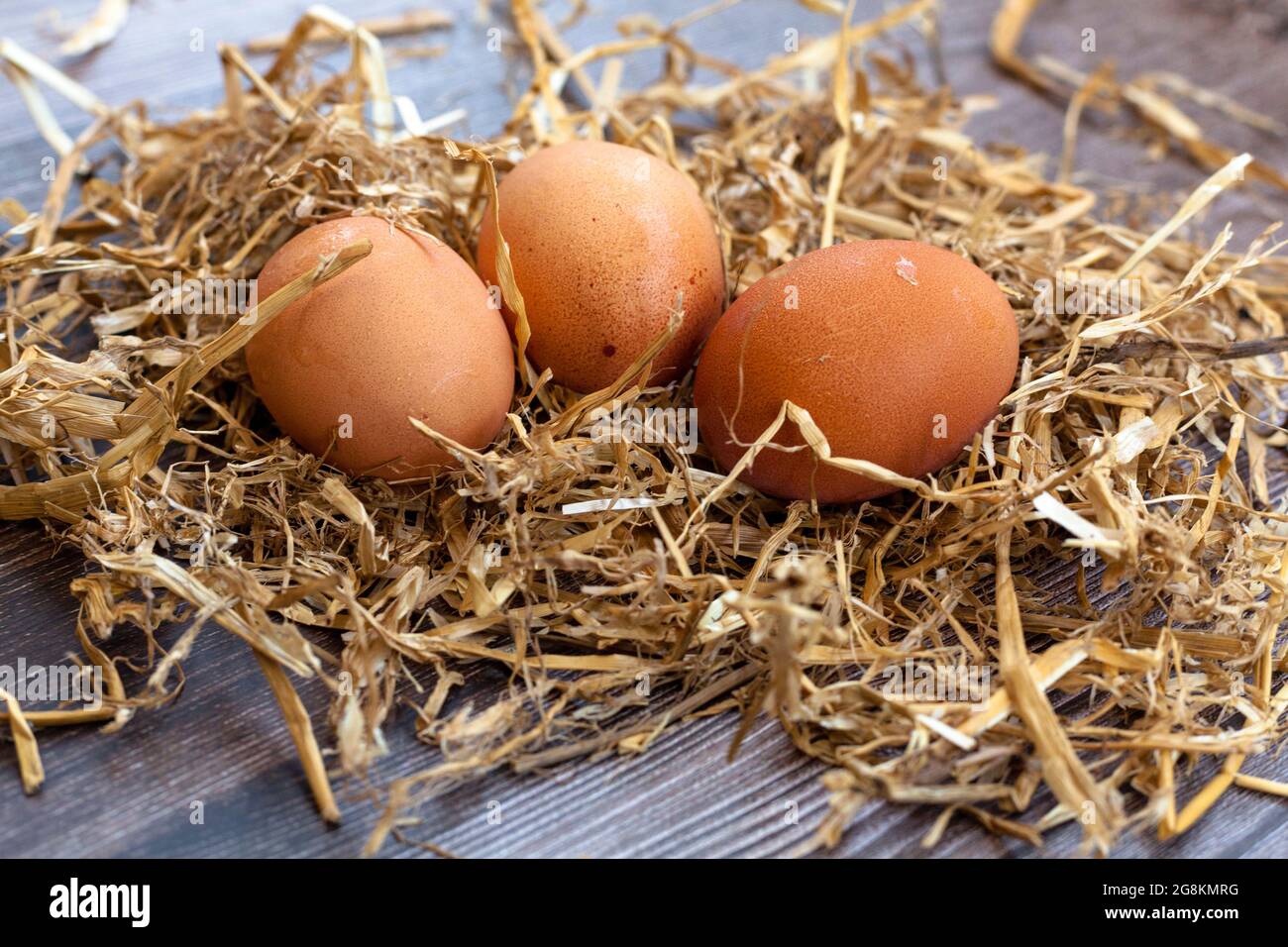 Free range eggs Stock Photo