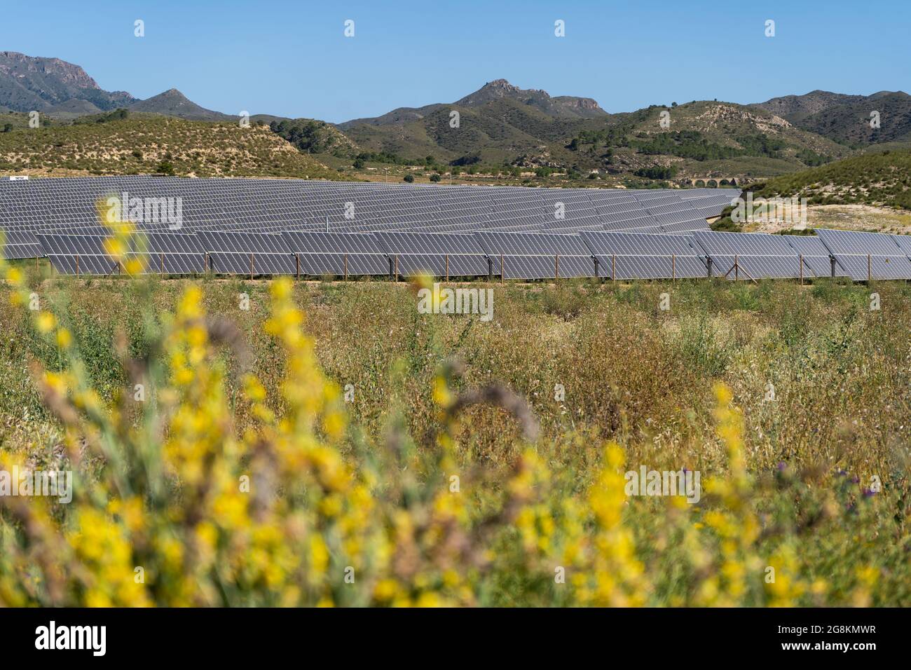 Solar power station plant . Photovoltaic panels, green eco renewable ...