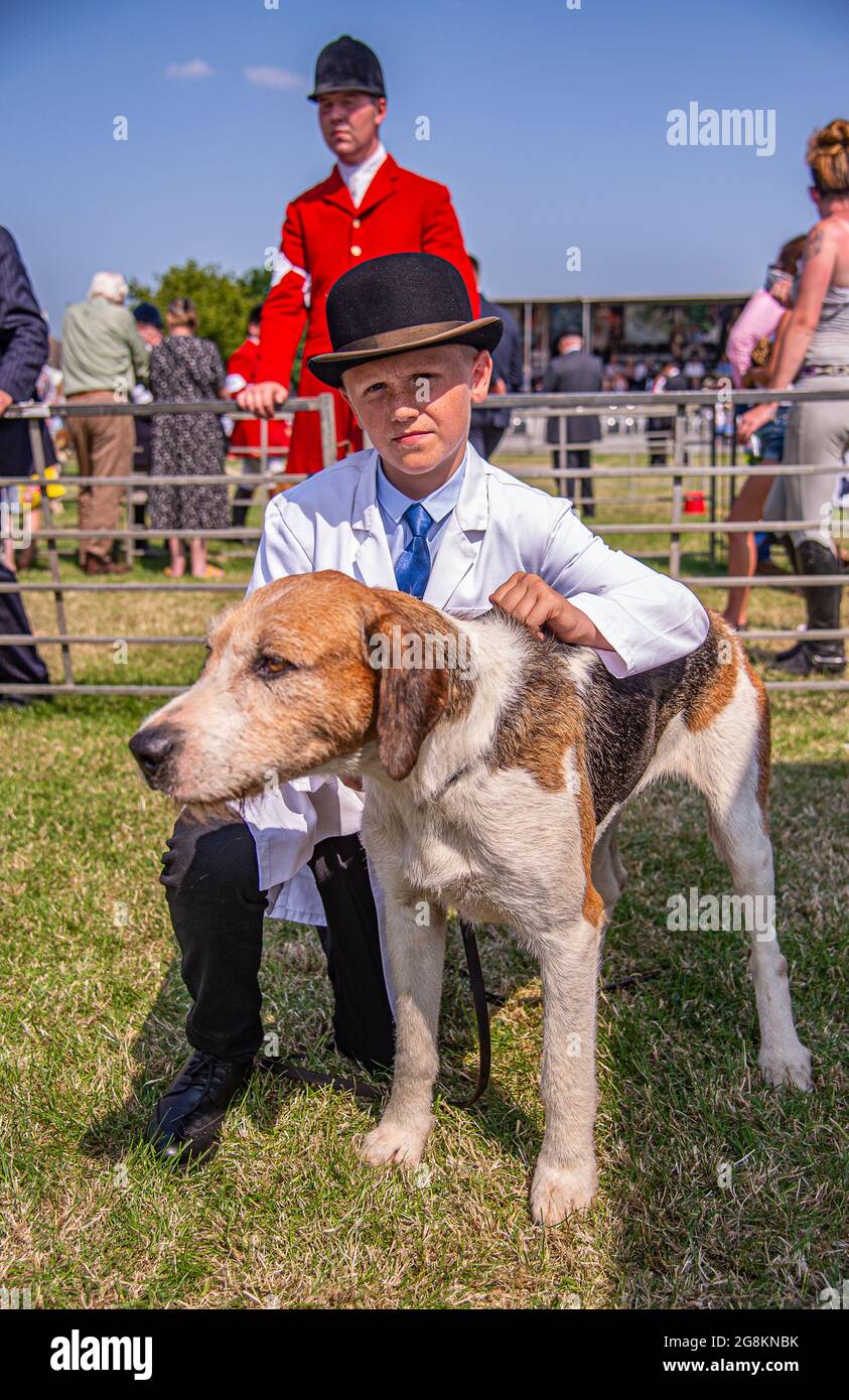 Festival of Hunting, Peterborough, England, UK. 21st July 2021.   This year’s Festival of Hunting, on one of the hottest days of then yaer, played host to the 133rd Peterborough Royal Foxhound Show which also celebrated Beagles, Harriers, Basset Hounds, Draghounds and Bloodhounds making it one of the largest hounds show anywhere in the world.   Here is one the young handlers waiting to enter the ring.  Credit: Matt Limb OBE/Alamy Live News Stock Photo