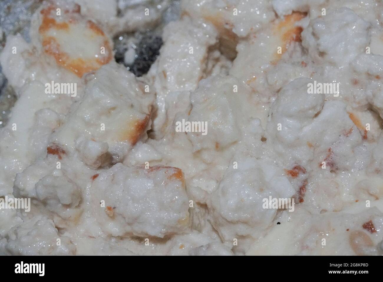 Cubes of fresh white paneer on a plate , being served. Close up image. Stock Photo