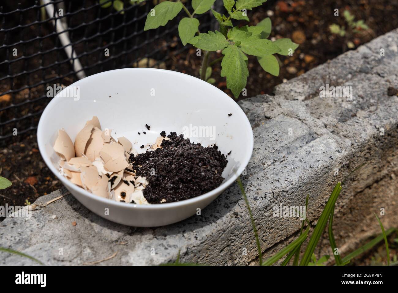 Crushed egg shell and spent coffee grounds in bowl against plants