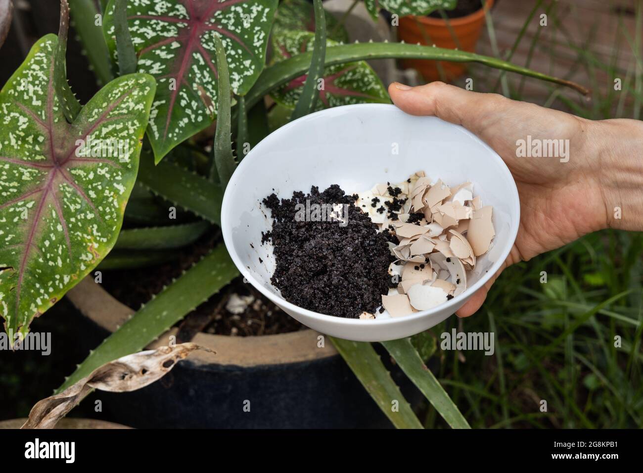 Hand holding crushed egg shell and spent coffee grounds in bowl
