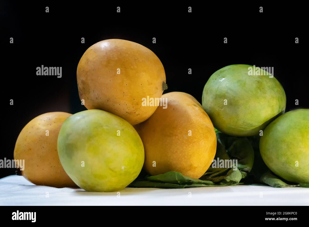 Mangoes, juicy stone fruits, from numerous species of tropical trees belonging to the flowering plant genus Mangifera, cultivated mostly for their edi Stock Photo