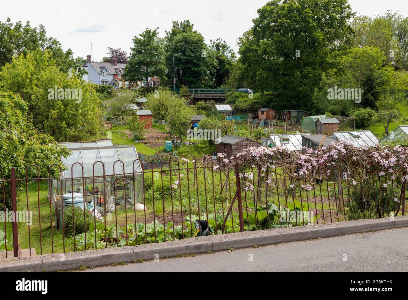 KENILWORTH, WARWICKSHIRE, UNITED KINGDOM - MAY 29, 2021: View of allotments off Manor Road Stock Photo