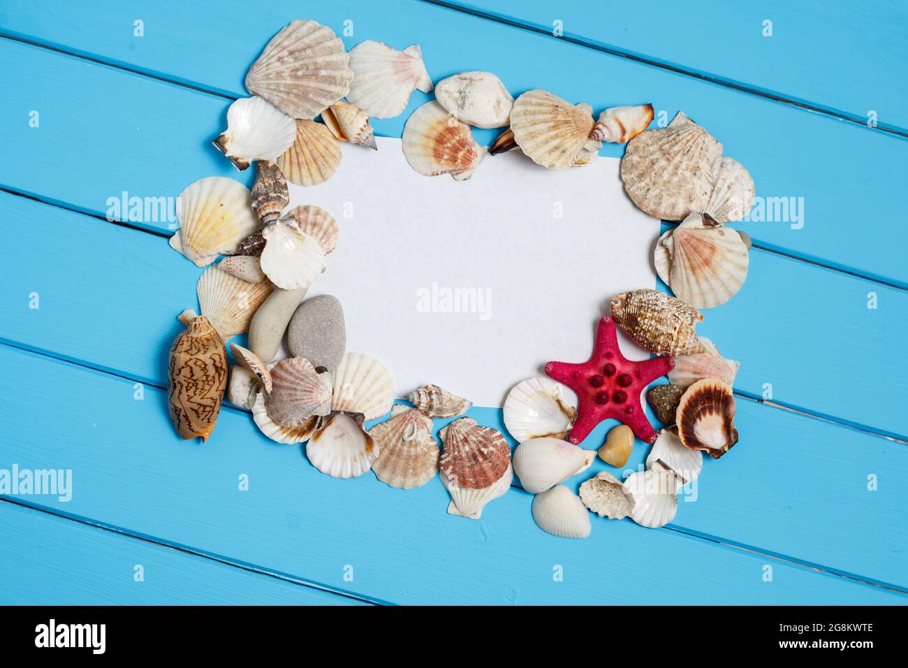 Summer background with the seashells and a blank note Stock Photo
