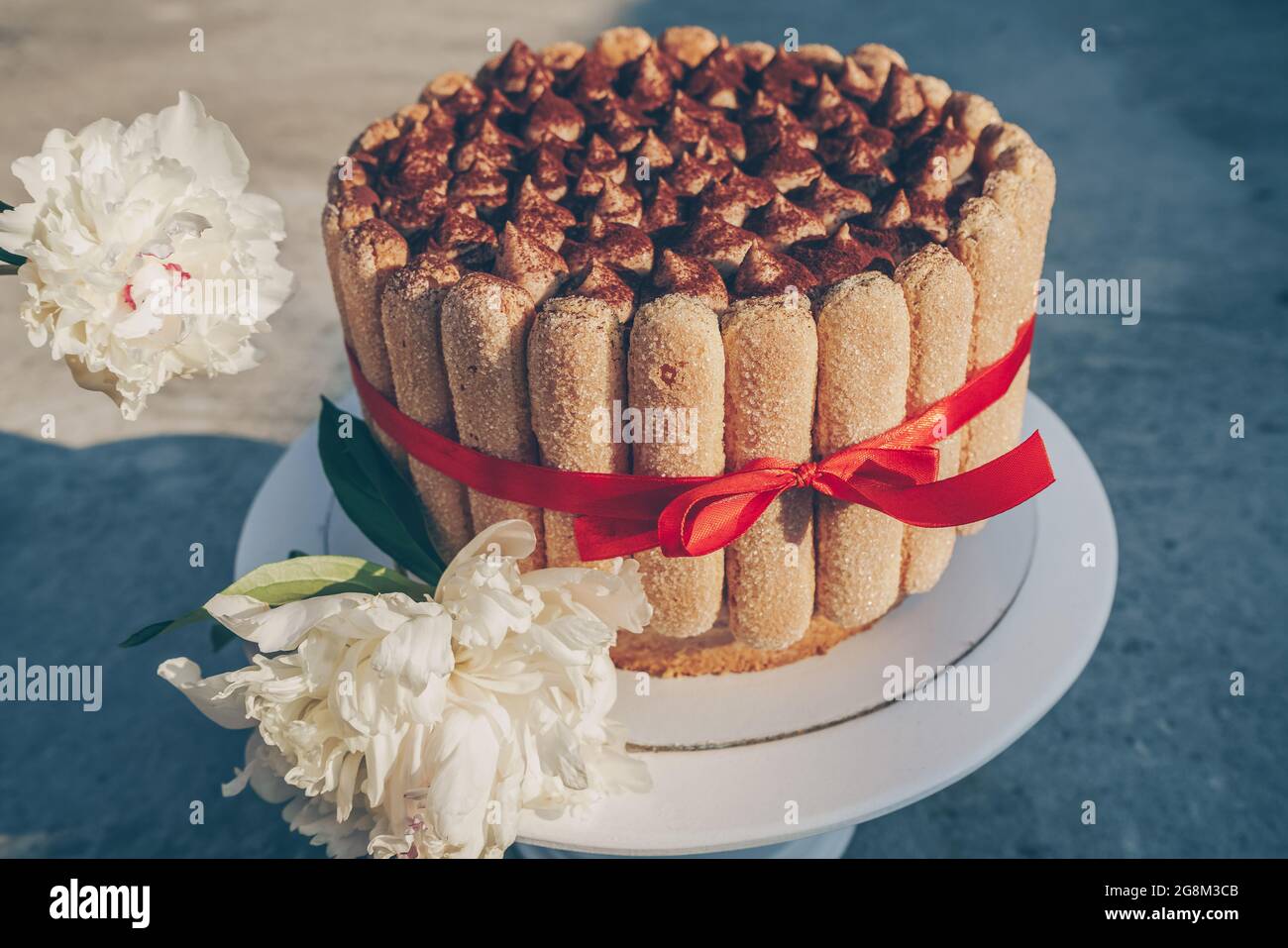 side view of tiramisu homemade cake decorated with red ribbon and ...