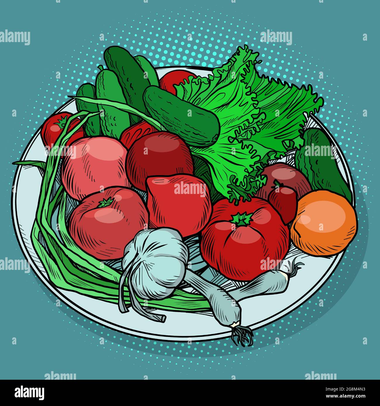 fresh vegetables on a plate tomato garlic onion cucumber salad Stock Vector