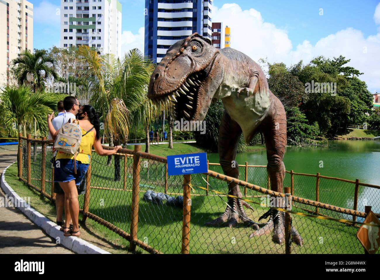salvador, bahia, brazil - july 20, 2021: view of sculpture in Lagoa dos ...