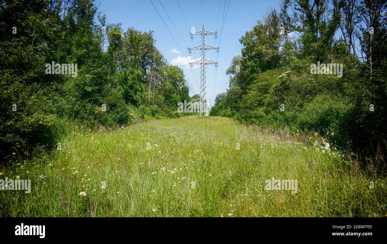 High-voltage power line crossing the green rural countryside of Bavaria ...
