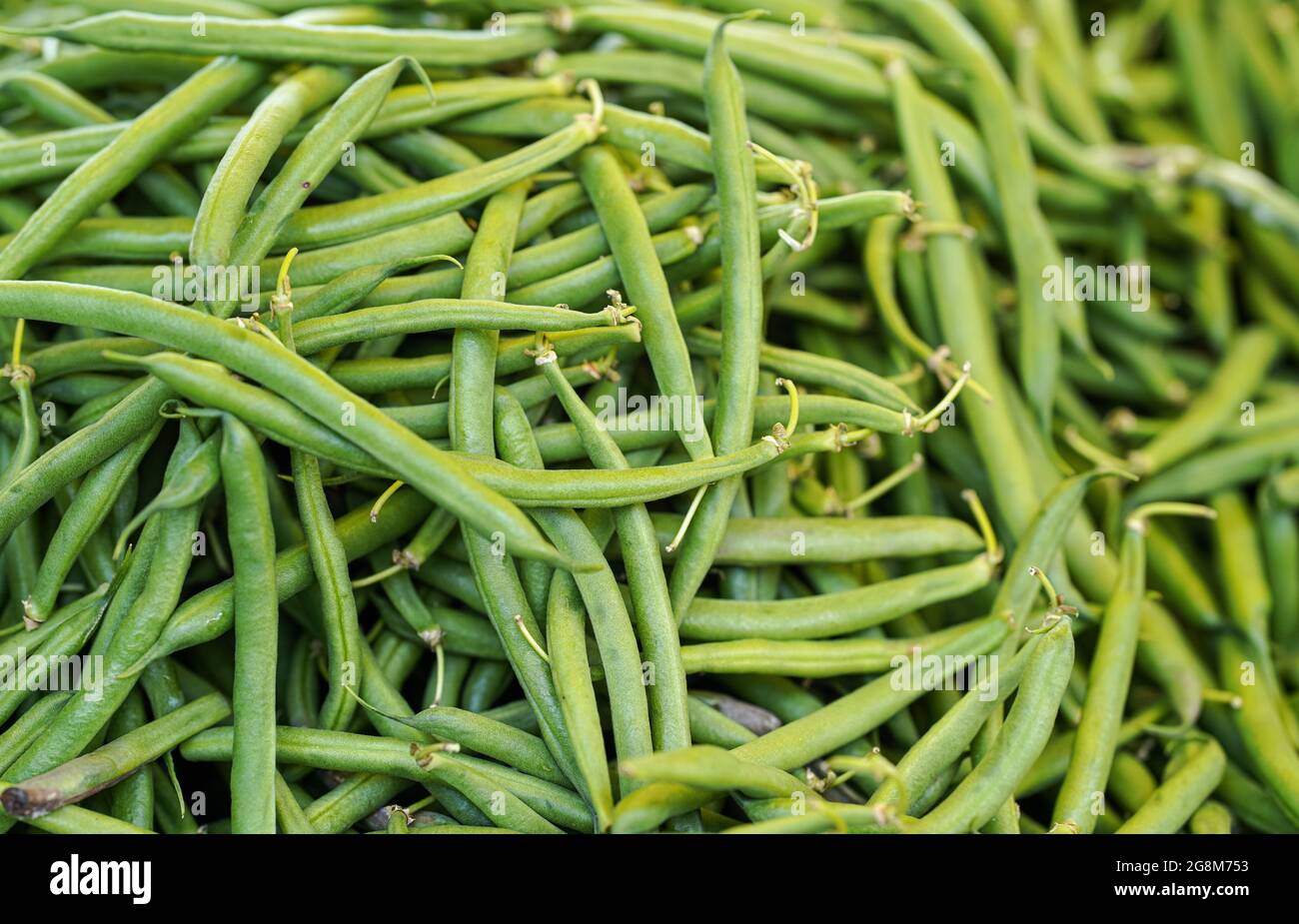 Pile green string beans displayed on food market. Abstract healthy