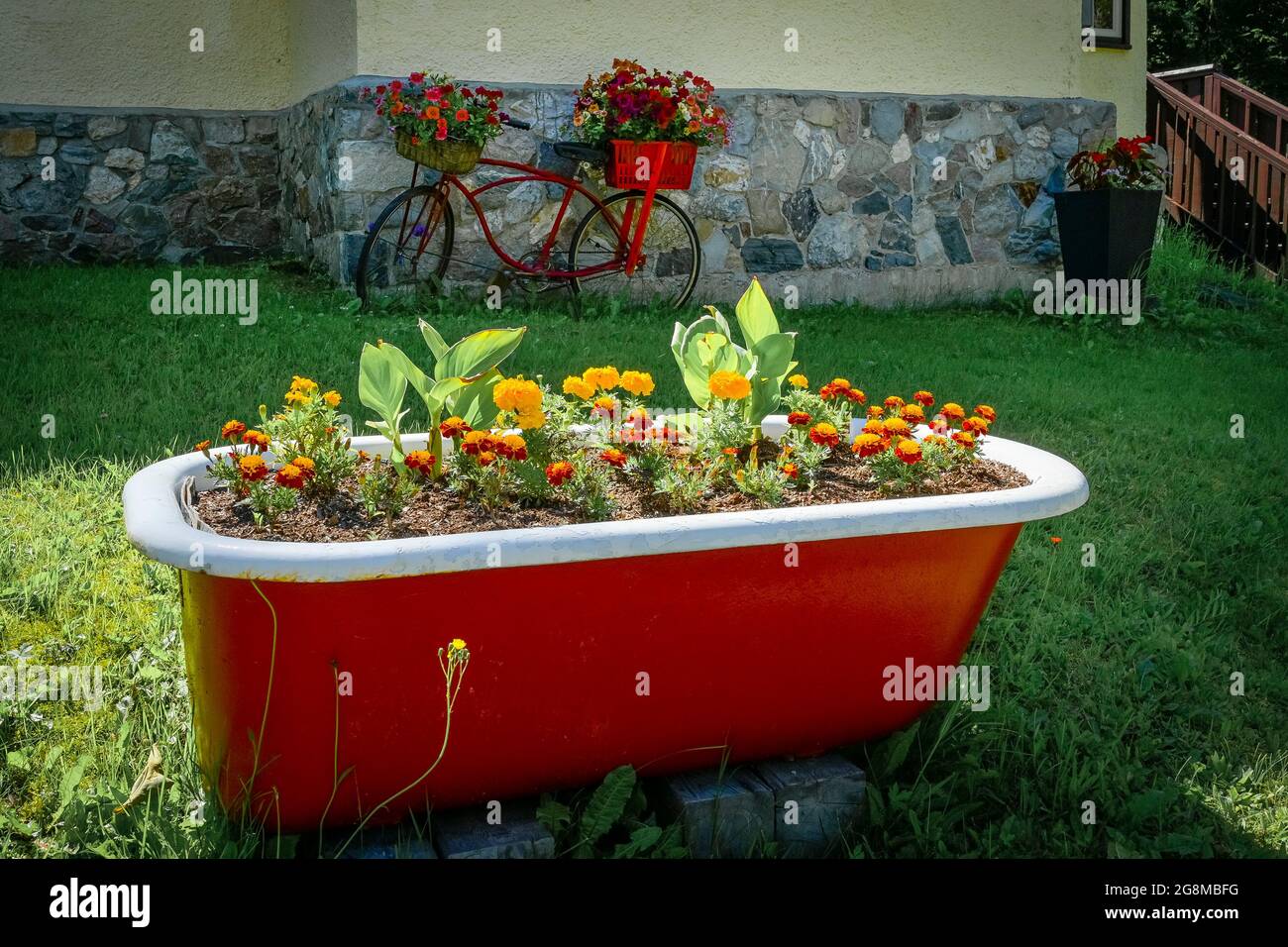 Garden flowers in old bathtub, Field, British Columbia, Canada Stock