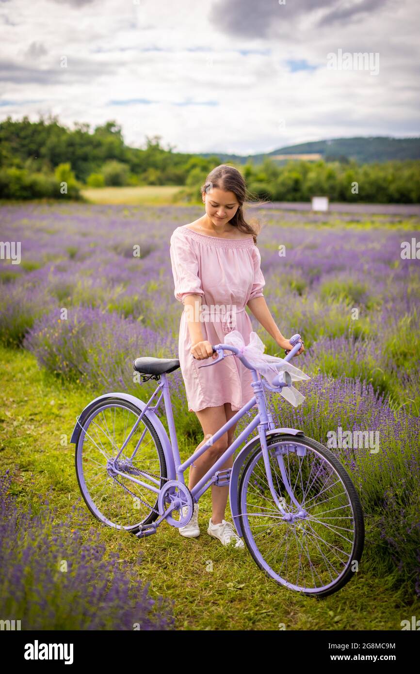 Woman in pink dress with retro bicycle in lavender field, Czech republic  Stock Photo - Alamy