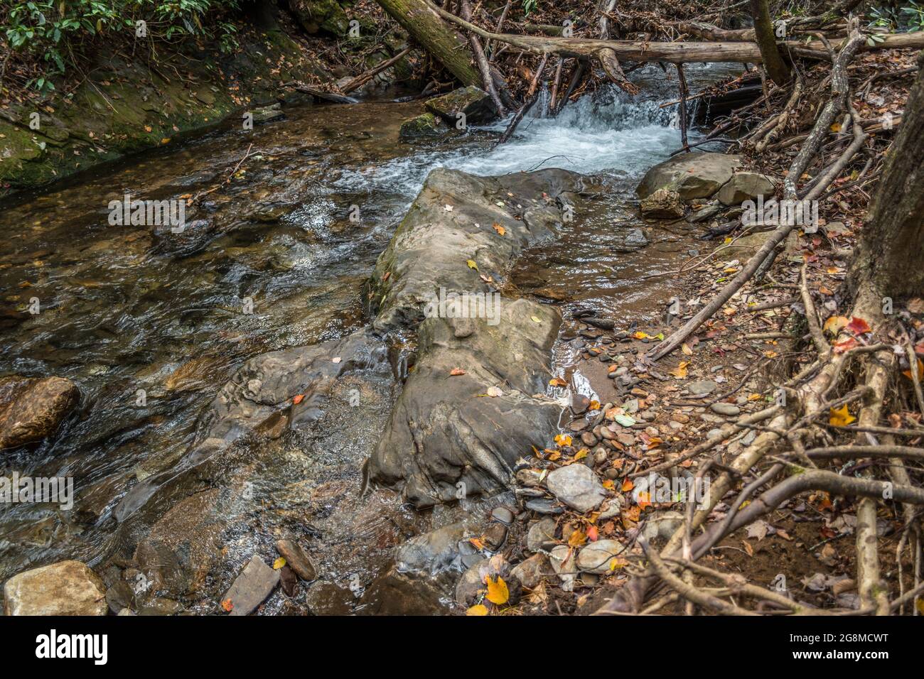 Standing on a boulder in the flowing water of the stream cascading over ...